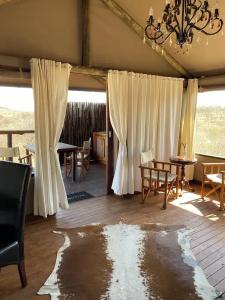 Windhoek Game Camp - 18