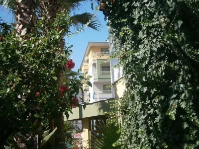 Sifalar Apart - 20