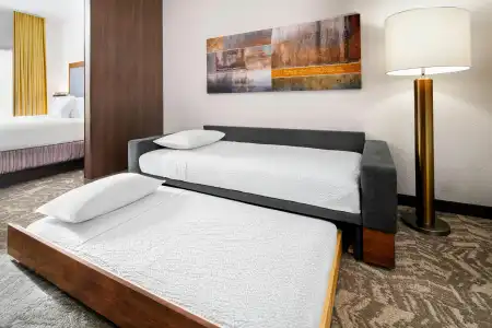 SpringHill Suites Scottsdale North - 22