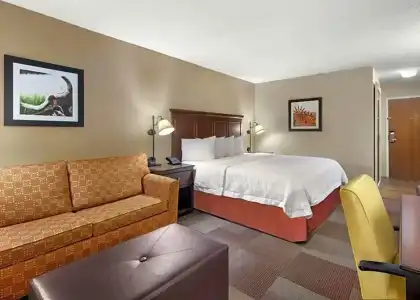 Hampton Inn Dallas-Irving-Las Colinas - 67