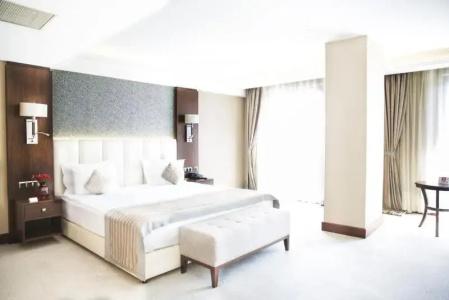 Grand Aras & Suites - 63