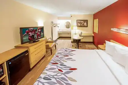 Red Roof Inn Albany Airport - 37