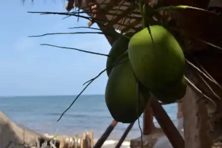 La Posada del Sol Boutique Tulum - 15