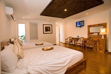 Rex and Apartment - 70