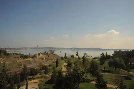 Golden Lake - 17