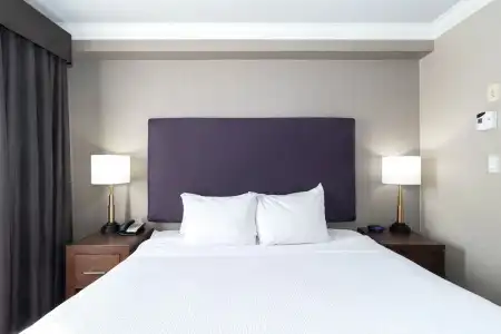 Sandman & Suites Calgary South - 66