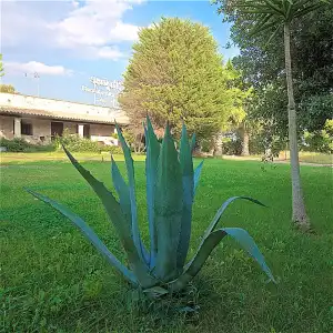 Masseria Le Pajare - 112