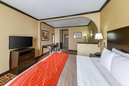 Quality Inn & Suites Lubbock South - 59