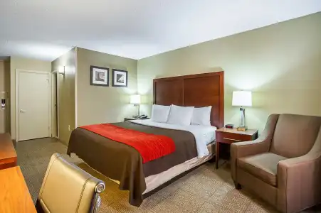 Comfort Inn Cleveland Downtown - 28