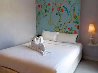 Sino Maison - 80