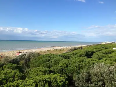Beau Rivage Pineta - 17