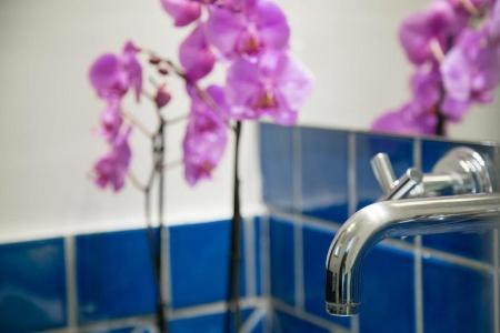 Residenza Pansa B&B - 30