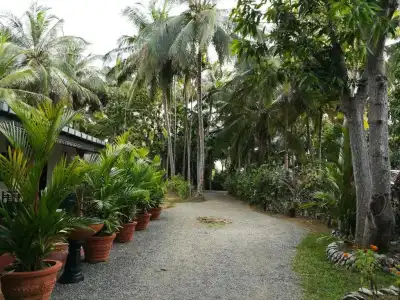 The Nature Park Villa - 12