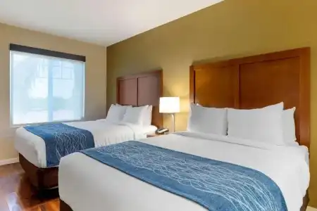 Comfort Inn & Suites near Ontario Airport - 53