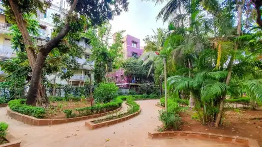 Garden - 16