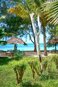 Spice Island & Resort - 25