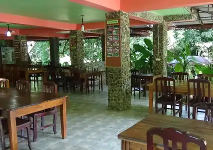 Tree Top River Huts - 11