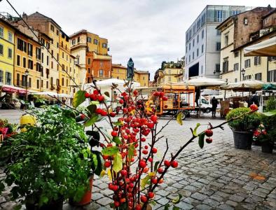 Nizza Roma - 38