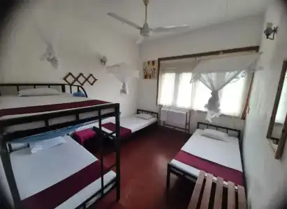 The Best Hostel - 25