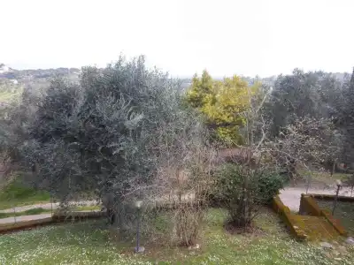 Agriturismo Norianino - 8