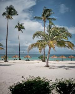 The One Resort Koh Rong - 18