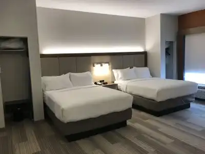 Holiday Inn Express Orlando S. Davenport - 1