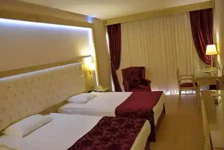Ege Palas Business - 29