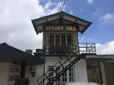 Guesthouse Sprout Hill - 6