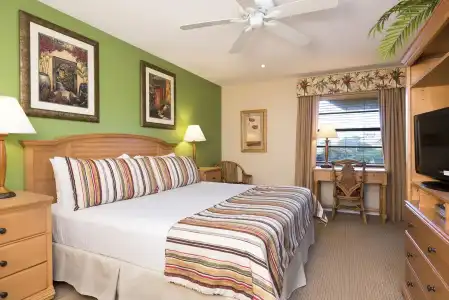 Park Shore Resort - 5