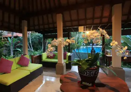 Villa Sonia Ubud - 11