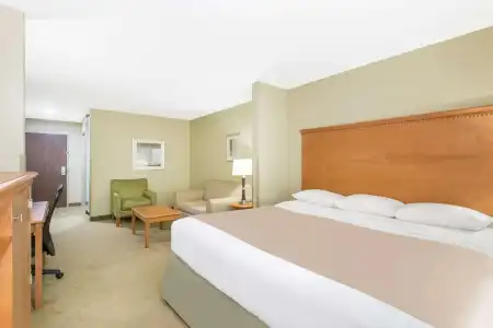 Super 8 Savannah - 60