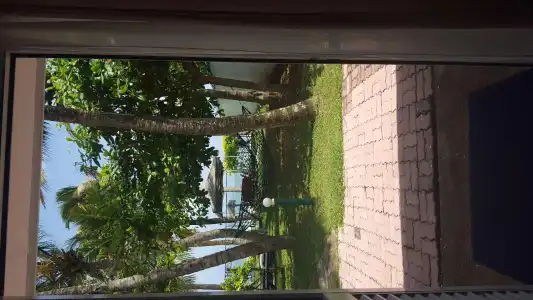 Edelweiss Resort - 41