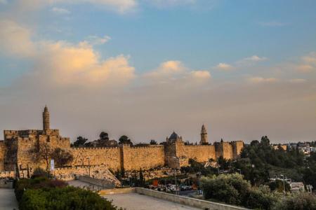 Brown Mamilla - 9