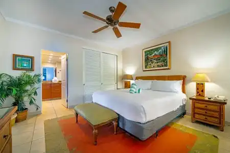 Kapalua Villas Maui - 187