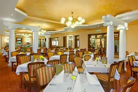 Danubius Health Spa Resort Centrální Lázne - 19