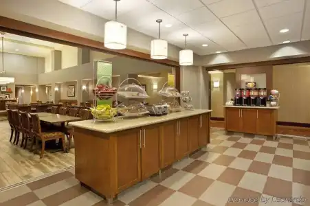 Hampton Inn Suites Minneapolis St Paul Arpt-Mall of America - 23