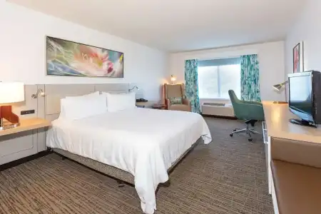 Hilton Garden Inn Daytona Beach Airport - 57