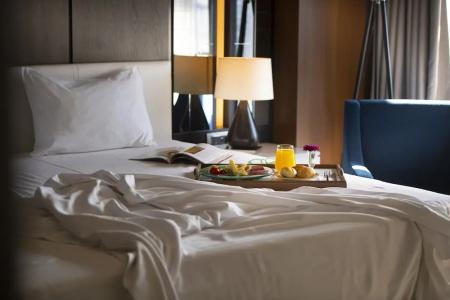 Holiday Inn KAYSERI - DUVENONU by IHG - 50