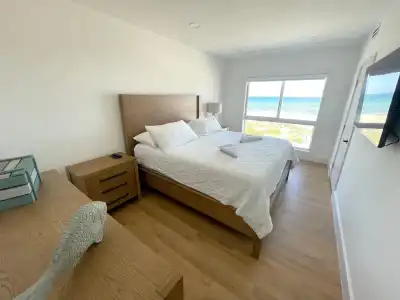 Shore View - 25