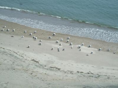 Seaside Kamome - 13