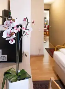 Pension Mariahilf - 28