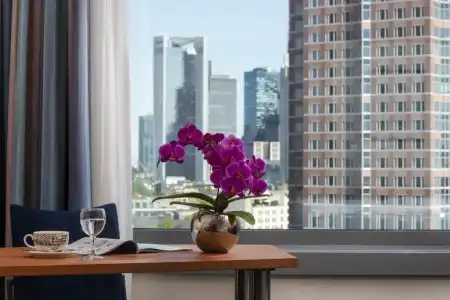 Maritim Frankfurt - 48