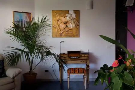 B&B Il Mandorlo - 14