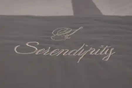 Serendipity B&B - 29