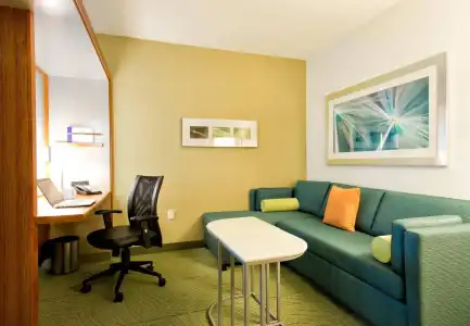 Springhill Suites by Marriott Bellingham - 27