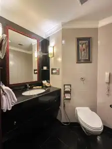 Radisson Kathmandu - 87
