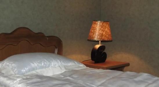 Meri's Guest house - 5