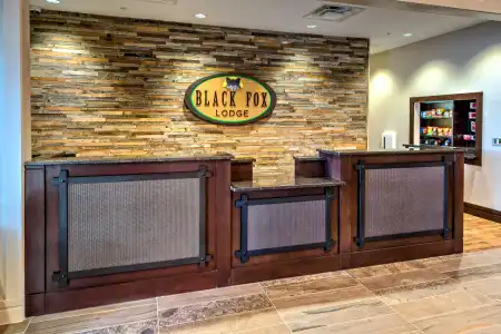 Black Fox Lodge Pigeon Forge, Tapestry Collection by Hilton - 30