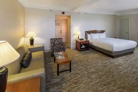 Hilton Cincinnati Netherland Plaza - 93