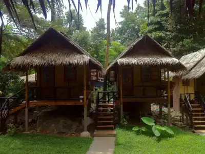 Jungle Garden - 14